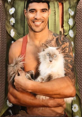 Pillowcase Cat - Mal