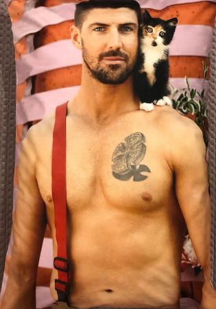 Pillowcase Cat - Brenden